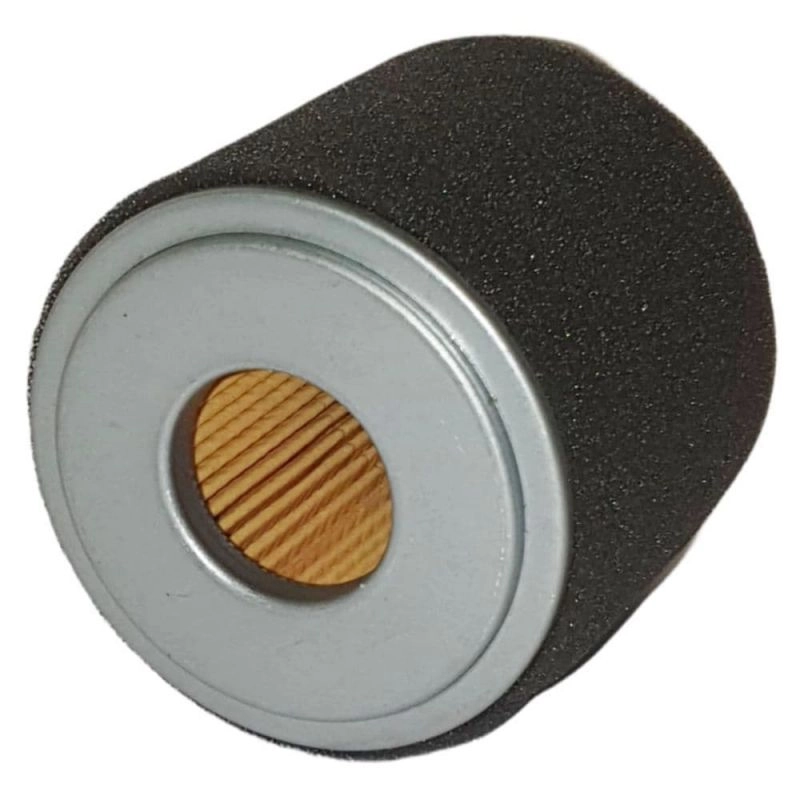 [17210Z0V781] Air Filter GX200 NEW - Cyclonic