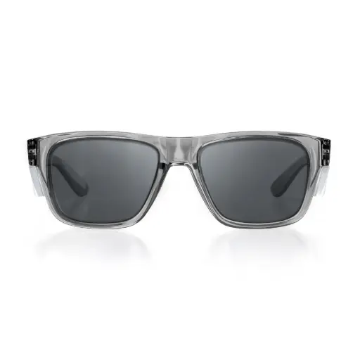 [FGT100] Safe Style Fusions Graphite Frame/Tinted
